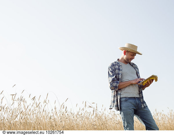 A man in working clothes  jeans and straw hat  using a digital tablet standing in a cornfield.