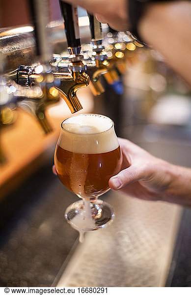 A man pours a beer at a brewery in The Dalles  Oregon.