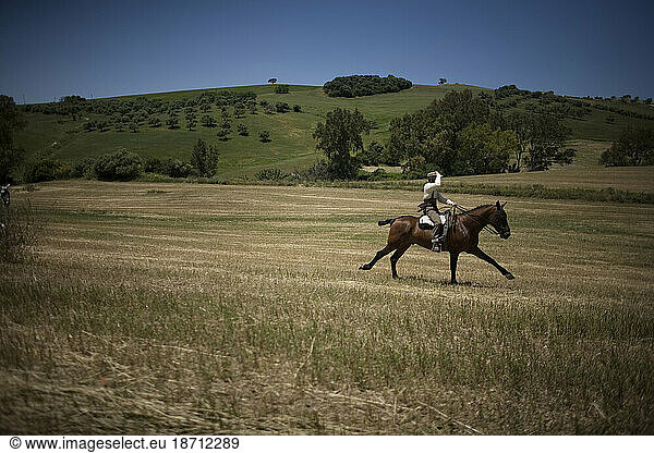 A man rides his horse during a pilgrimage in Prado del Rey village  Cadiz Province  Andalusia  Spain  May 16  2010.