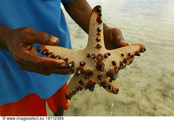 A man show a sea star he collected in the village of Hessessai Bay at PanaTinai (Panatinane)island in the Louisiade Archipelago in Milne Bay Province  Papua New Guinea.