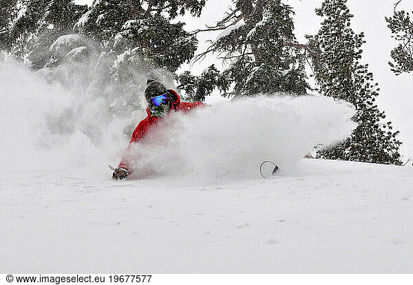 A man skiing on a powder day at a mountain resort near South Lake Tahoe  California.