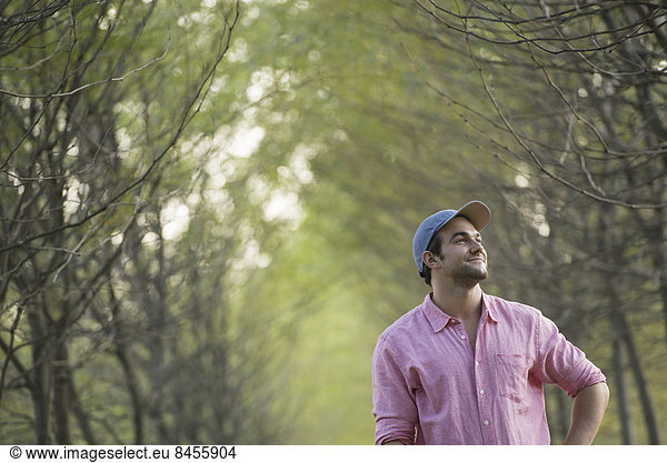 A man standing in an avenue of trees  looking upwards.