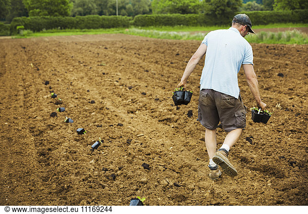 A man walking across a field carrying plant pots full of seedlings.