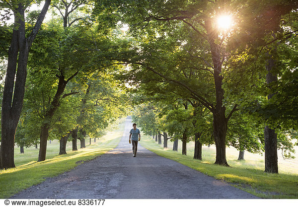 A man walking down a tree lined avenue in the countryside.