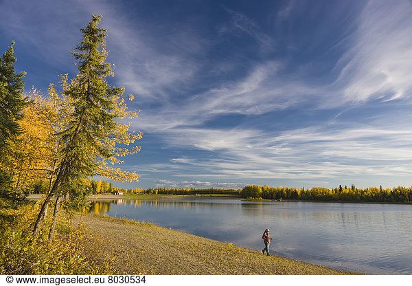 A man walking the beach at the chena lakes recreation area in autumn Fairbanks alaska united states of america