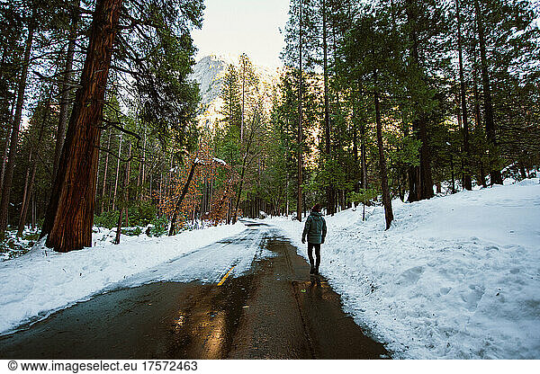 A man walks along a snowy road through the forest