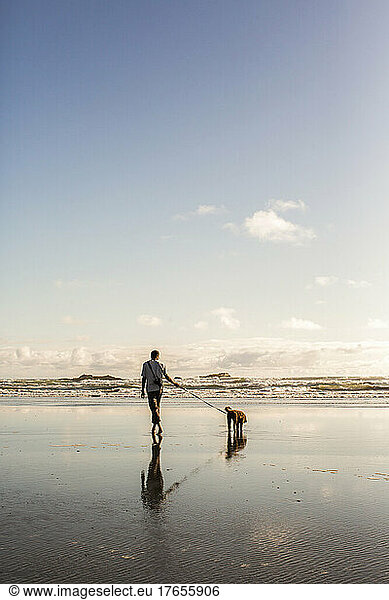 A man walks with dog on a leash in a bright beach scene