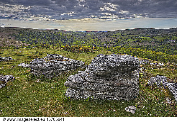 A massive granite boulder on Bench Tor  one of the classic features of Dartmoor National Park's landscape  Devon  England  United Kingdom  Europe