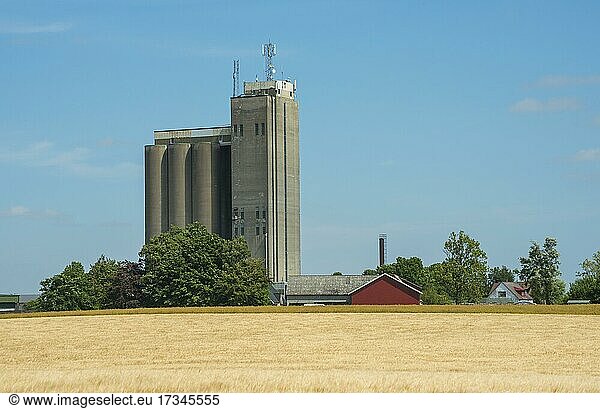 A 61 meters high silo to stores and markets grain for its member farmers (Lantmännen) in Klagstorp  Trelleborg community  Scania  Sweden  Scandinavia  Europe