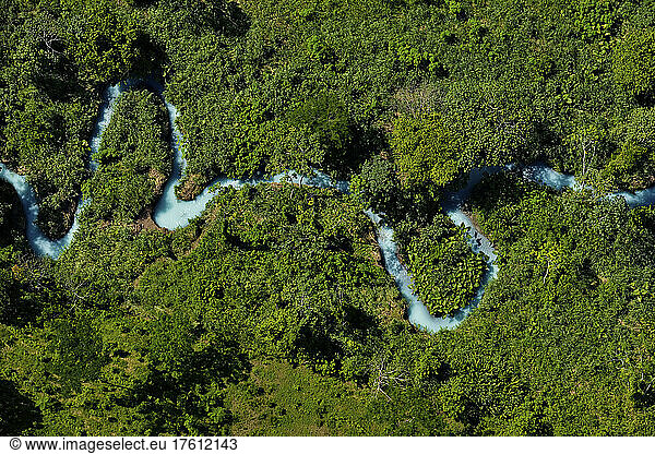 A milky  blue sulphurous river flows through the vegetation outside Cueva de Villa Luz in Tabasco  Mexico.; Tabasco State  Mexico.
