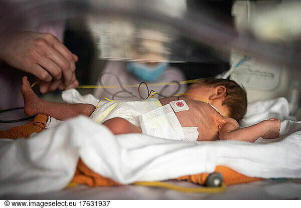 A mother participates in the care of her premature newborn baby.