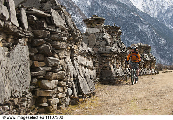A mountain biker cycles past a line of chortens in the Tsum valley Manaslu region Nepal Asia