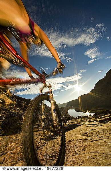 A mountain biker rides near Moab  Utah.