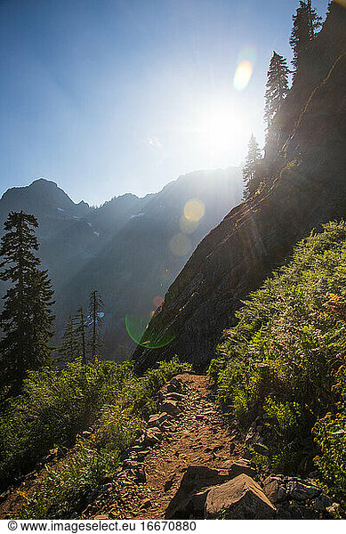 A mountain trail is illuminated on a sunny day in Washington