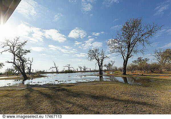 A narrow waterway in the open space of the Okavango Delta.