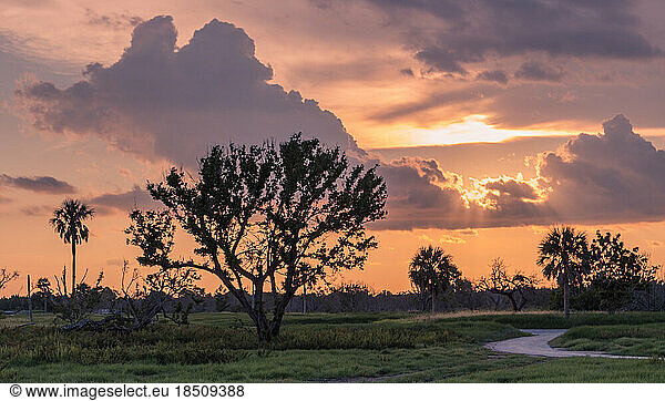 A nice colorful sunrise in the Everglades national park