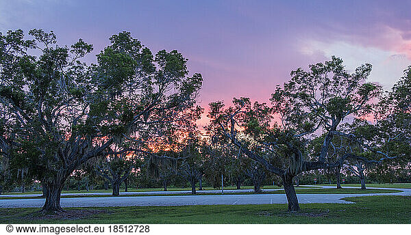 A nice colorful sunrise in the Everglades national park