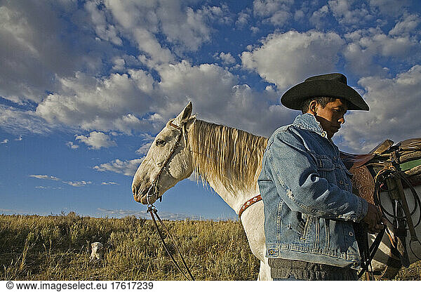 A once wild horse now works the Wyoming range with a sheepherder; Savery  Wyoming  United States of America