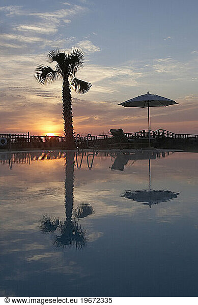 A palm and umbrella reflect in a swimming pool at sunrise.