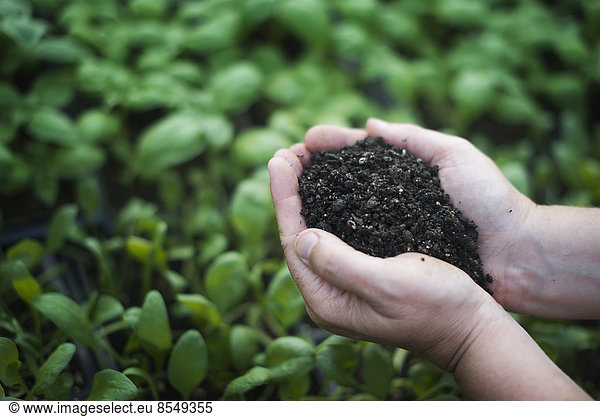A person holding a handful of dark organic compost.