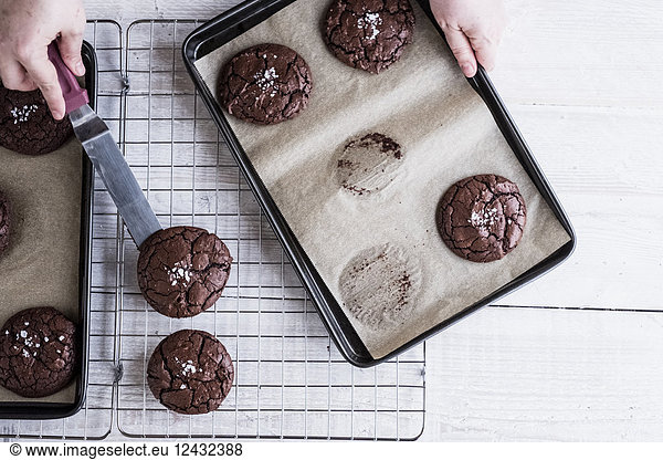 A person using a palette knife to move baked chocolate brownies from a baking tray to a cooling rack.