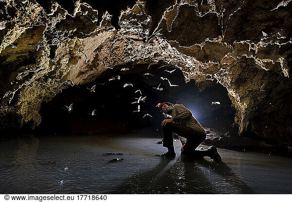 A photo assistant couches to avoid flying bats inside the Salon de los Murcielogos in Cueva de Villa Luz  Tabasco  Mexico.