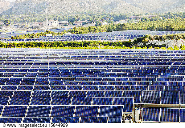 A photo voltaic solar power station near Calasparra  Murcia  Spain at dawn.