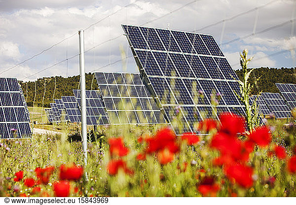A photo voltaic solar power station near Caravaca  Murcia  Spain.