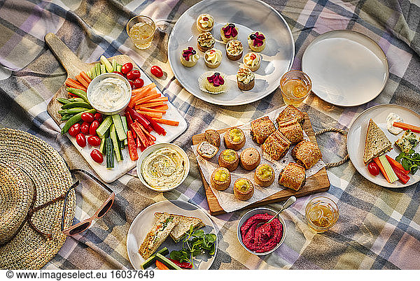 A picnic with crudites  pastries and sandwiches