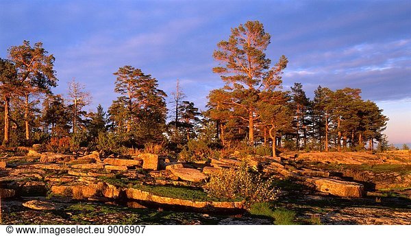A picturesque archipelago consists of 50 islands and is located in the northern part of the Ladoga lake. There is an ancient monastery there. Valaam is also famous for various cultural natural objects: gardens  parks  avenues. In the picture: stone cape in the west of the island Avraamievsky.
