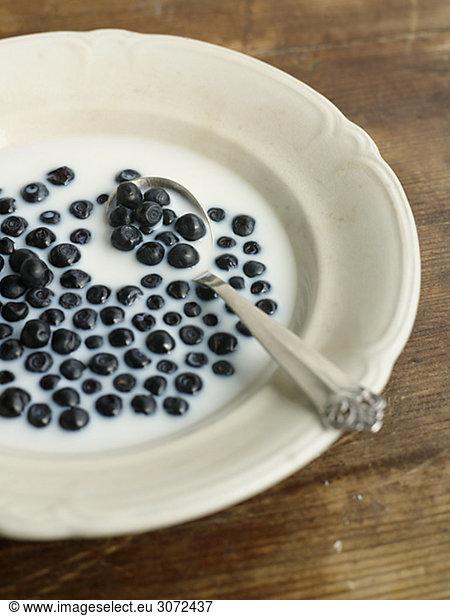 A plate full of milk and bilberries Sweden