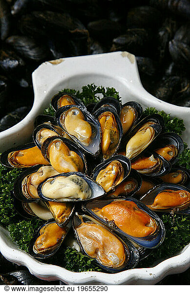 A plate of mussels  Normandy  France.