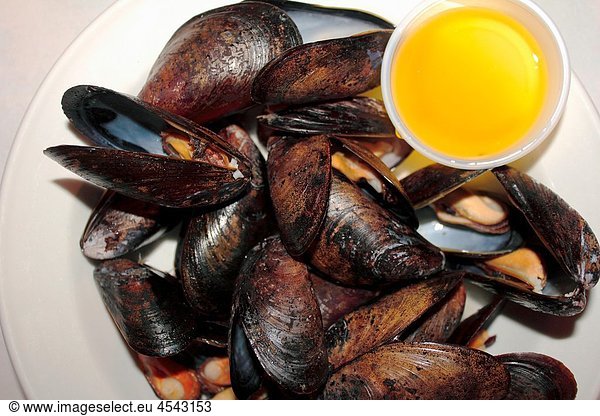 a plate of steamed blue mussels ready to eat