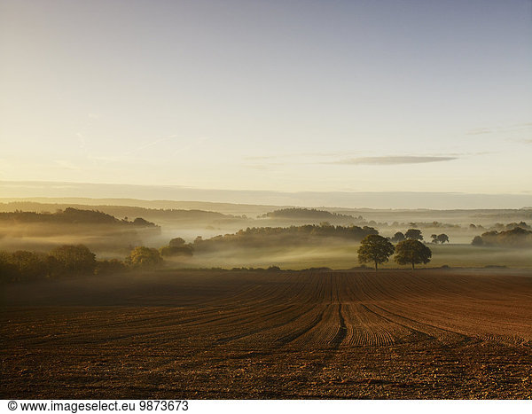 A ploughed field and view over surrounding undulating hills  at dawn with a mist rising from the land.