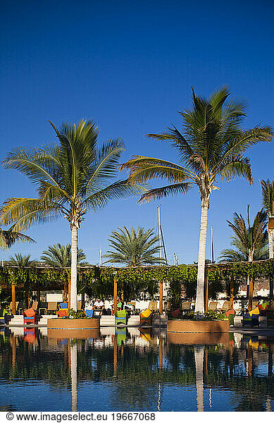 A pool scene at a luxury hotel in La Paz  Mexico.