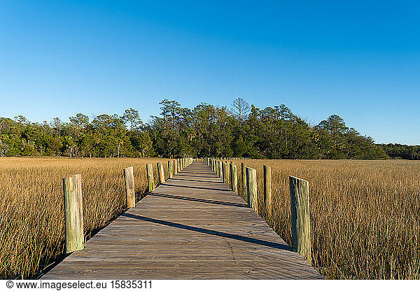 A raised wooden walking path cuts through marsh grass on a clear day