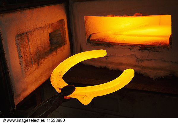 A red glowing horseshoe shape  held with tongs  and an open furnace. Glowing heated metal.