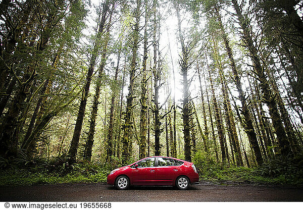 A red hybrid vehicle sits in a mossy  green forest.