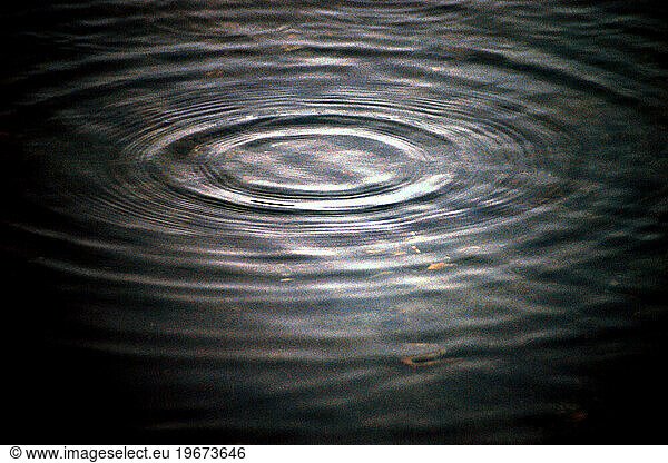 A ripple in the water.