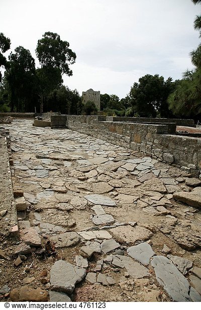 A Roman street  Carteia Archaeological  San Roque  Cádiz  Andalucia  España
