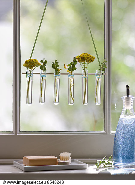 A row of small glass vases hanging in a window.