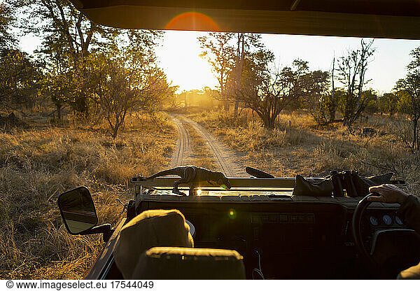 A safari jeep  passenger view of the dirt road ahead at sunrise