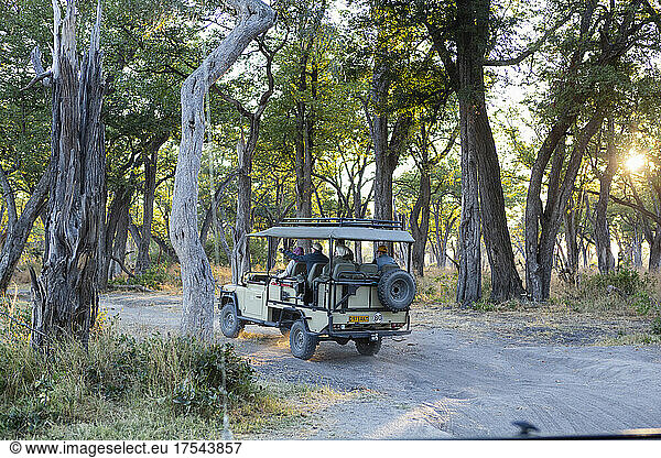 A safari jeep travelling along a pathway through the bush at sunrise.