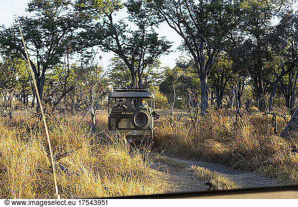 A safari jeep with passengers on a sunrise drive through a landscape.
