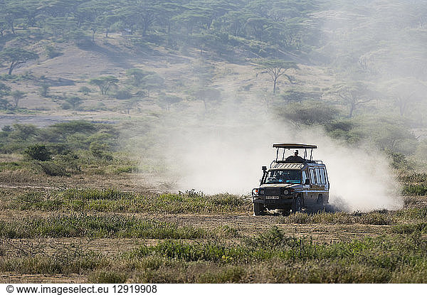A safari vehicle driving in the Ndutu area  Ndutu  Ngorongoro Conservation Area  Serengeti  Tanzania  East Africa  Africa