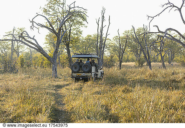 A safari vehicle on a sunrise game drive