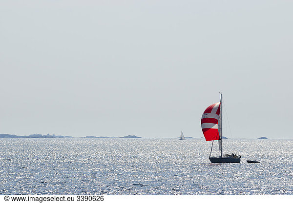 A sailing boat on the sea  Sweden.