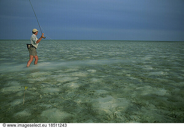 A saltwater fly-fisherman casts to a fish in the Bahamas.