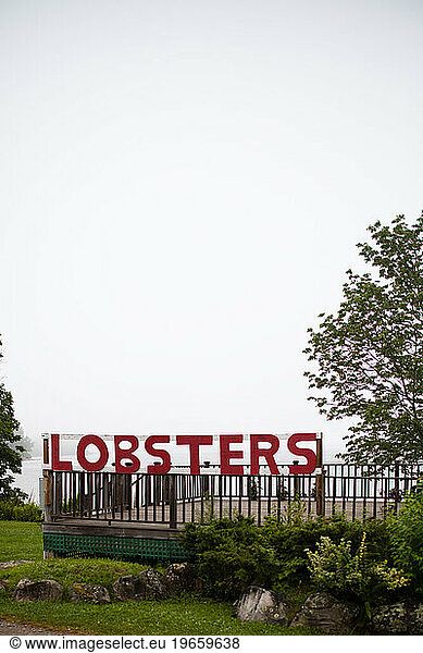 A sign that reads 'Lobsters' on the coast of a small town.