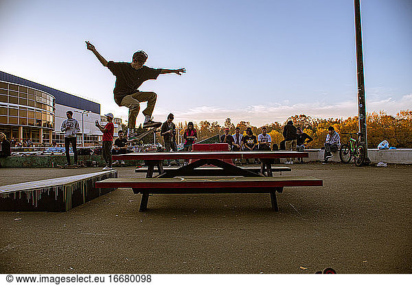 A skateboarder in action at Venice Beach Skate Park in Los Angeles  California  USA